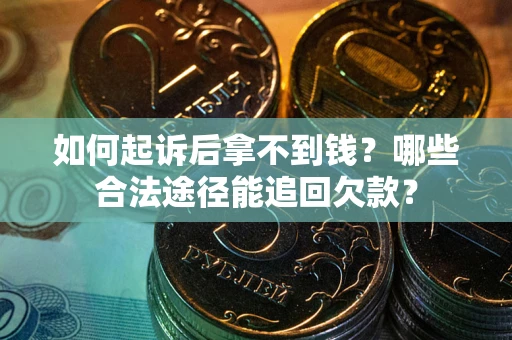 武汉如何起诉后拿不到钱？哪些合法途径能追回欠款？