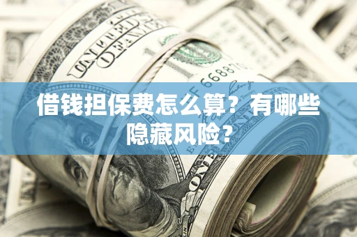 武汉借钱担保费怎么算？有哪些隐藏风险？