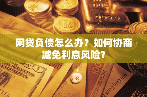 武汉网贷负债怎么办？如何协商减免利息风险？