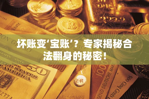武汉坏账变‘宝账’？专家揭秘合法翻身的秘密！