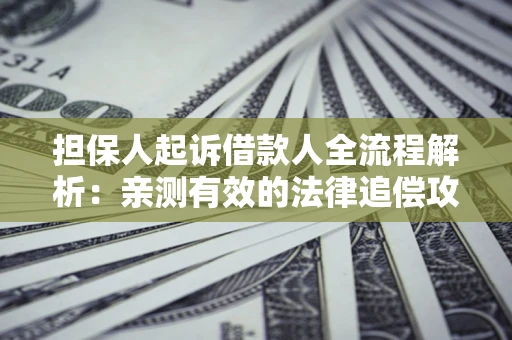 武汉担保人起诉借款人全流程解析：亲测有效的法律追偿攻略