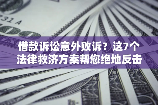 武汉借款诉讼意外败诉？这7个法律救济方案帮您绝地反击！