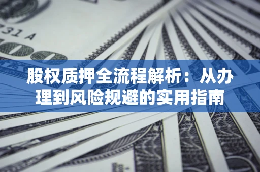 武汉股权质押全流程解析：从办理到风险规避的实用指南