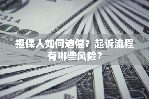 武汉担保人如何追偿？起诉流程有哪些风险？