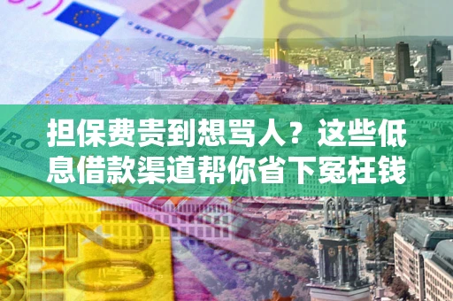 武汉担保费贵到想骂人？这些低息借款渠道帮你省下冤枉钱