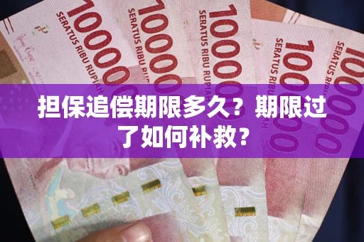 武汉担保追偿期限多久？期限过了如何补救？