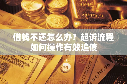 武汉借钱不还怎么办？起诉流程如何操作有效追债