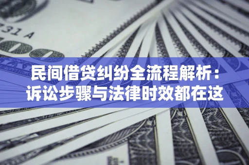武汉民间借贷纠纷全流程解析：诉讼步骤与法律时效都在这儿了