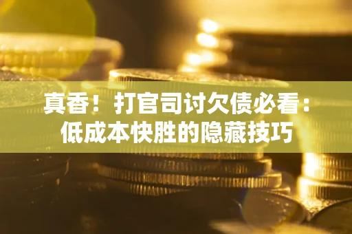 武汉真香！打官司讨欠债必看：低成本快胜的隐藏技巧