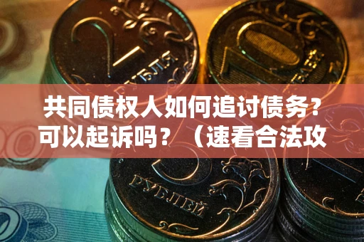 武汉共同债权人如何追讨债务？可以起诉吗？（速看合法攻略）
