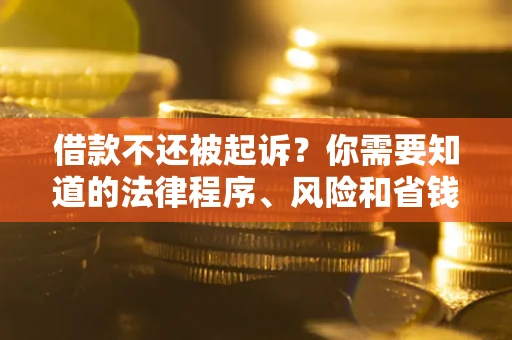 武汉借款不还被起诉？你需要知道的法律程序、风险和省钱技巧
