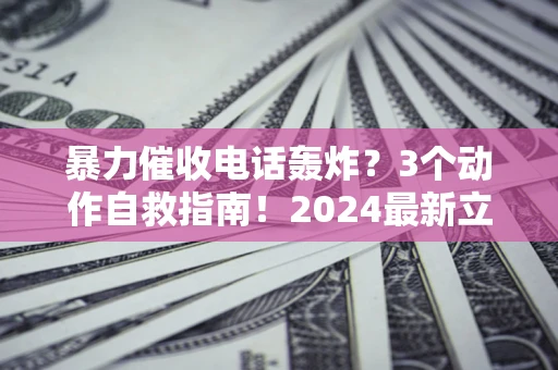 武汉暴力催收电话轰炸？3个动作自救指南！2024最新立案标准全解析