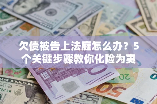 武汉欠债被告上法庭怎么办？5个关键步骤教你化险为夷
